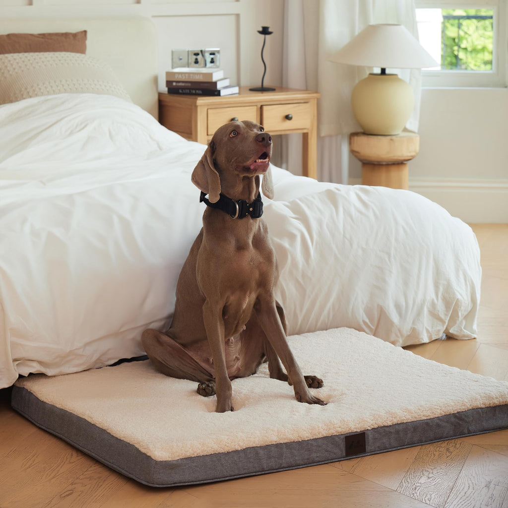 DaysU Orthopedic Dog Bed with Egg Crate Foam & Washable Cover