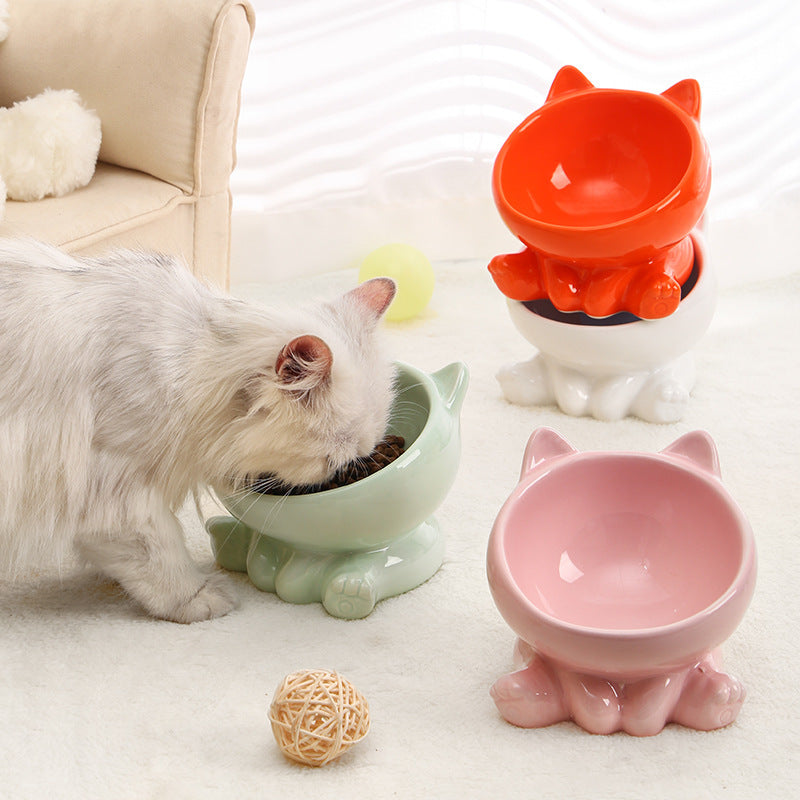 Ceramic Elevated Cat Bowl Set (2-Pack)