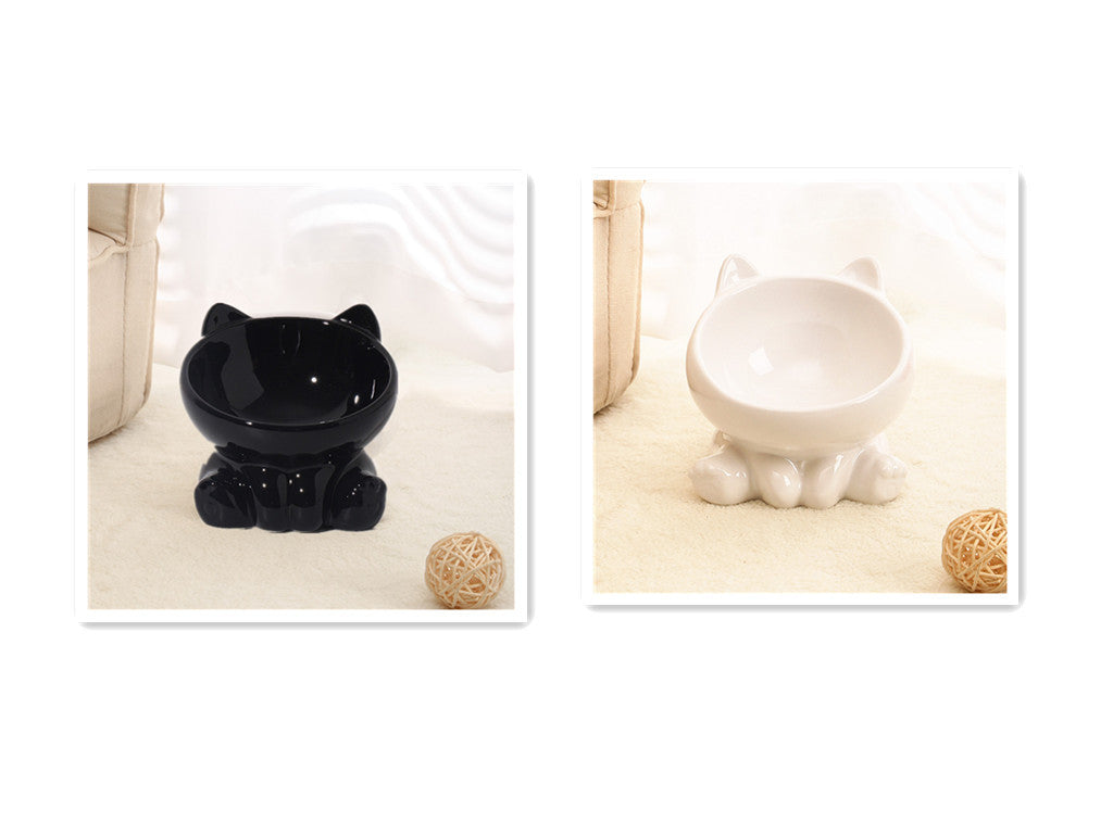 Ceramic Elevated Cat Bowl Set (2-Pack)