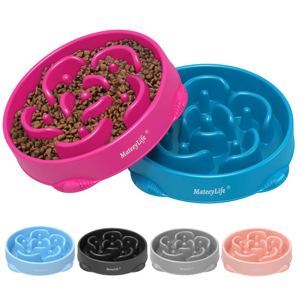 Large Slow Feeder Dog Bowl Puzzle Maze for Fast Eaters