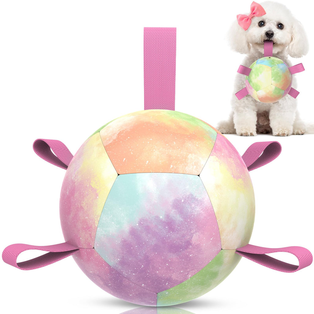 Rainbow Dog Soccer Ball Toy with Pump & Nylon Tabs for Interactive Play
